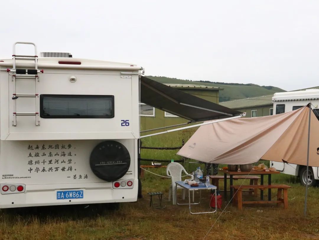 來福，以精致矗立在野性之中