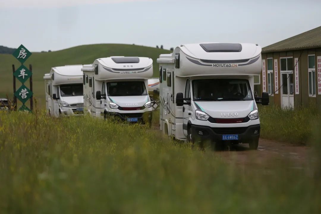 來福，以精致矗立在野性之中