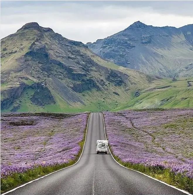 成年人不做選擇題，自由與安穩我都要！